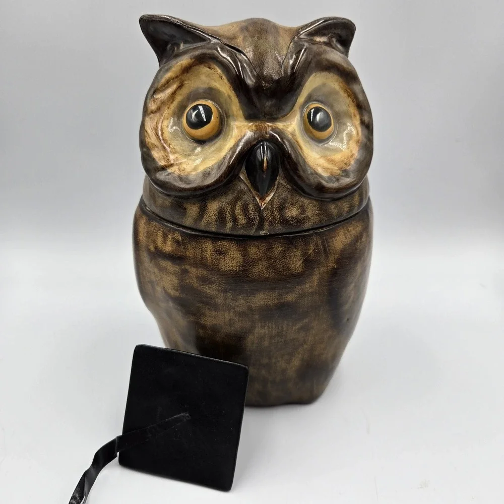 MCM Italian‎ Owl Ceramic Cookie Jar Container Brown Yellow Eyes VTG 60s 9